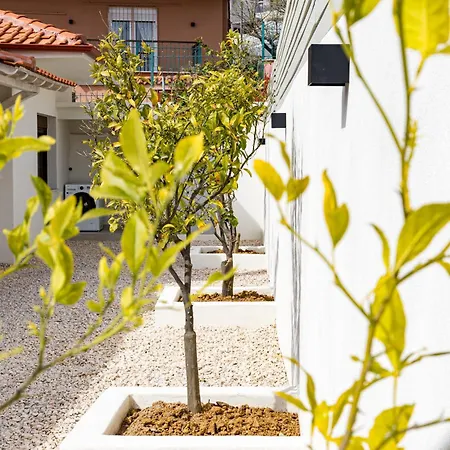 Villa Barn Nikiti (Sithonia)